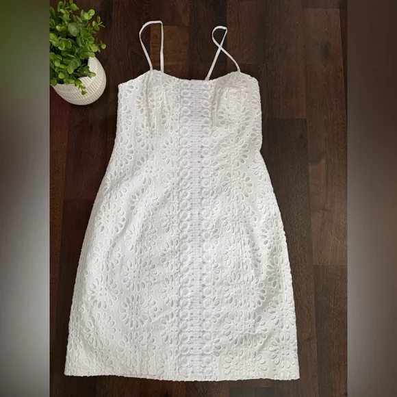 🆕 Lily Pulitzer Eyelet Dress - Picture 1 of 9